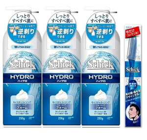 Schick(VbN)nChVF[rOtH[|v250Gx3܂Zbgg[z