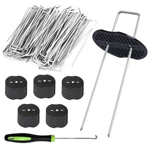 hV[gŒs100{UsYەtڂV[gŒsV[gshV[gŒps(15cm)