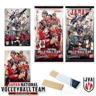 JAPAN NATIONAL VOLLEYBALL TEAM 男子日本代表ver. ツインウエハース 2026 20個入りBOX 【即納品】 バレ…