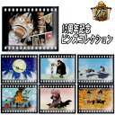 楽天市場 One Piece グッズ 天天ストア 楽天市場店