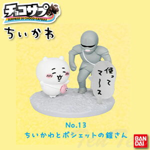 `RTv  No.13 ƃ|VFbg̊Z Pi y[iz tBMA ObY `RGbO H ܂