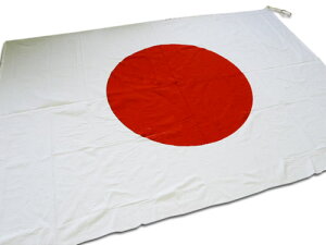 ̊   6TCY 103×150cm 100 { ɂۂ ێɂ΂jb|