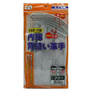 v vH[  ȔwD 423 v t[TCY