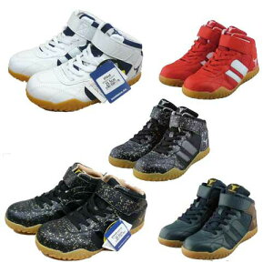 SC sundance T_X GT-EvoX |c nCJbg