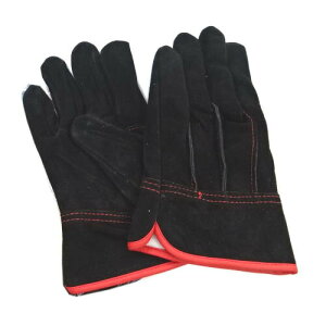 v vH[ e  KS477 10og  {v MEL