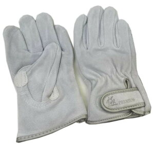 v vH[ w̋ KS853 10og wZ ᓖt t[TCY