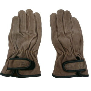 v vH[ v \tgICH KS847  10og }WbNe[vt uE M L