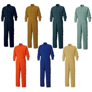 ƕ V ȉ~Ǖ Ȃ 11613 4L 傫TCY