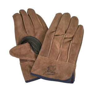 v vH[ w̋Ƀv wZ KS462 10og t t[