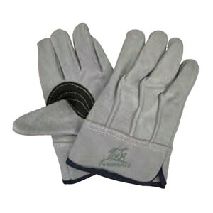 v vH[ w̋Ƀv wZ KS463 10og t t[