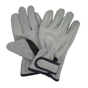 v vH[ w̋Ƀv wZ KS863 10og t t[ xg