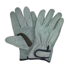 v vH[ w̋Ƀv wZ KS864 1o t t[ xg