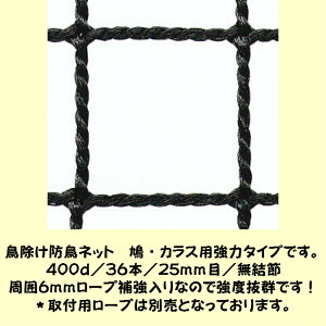 hlbg@EJXp̓^Cv@2m1cm`3m×11m1cm`12m܂Ń^Cv