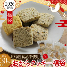 数量限定 2026年新春 おからクッキー福袋 お徳用 お豆腐屋さんの豆乳おからクッキー プレーン バター マーガリン 卵 牛乳 不使用 スイーツ 硬い 堅い 十二堂