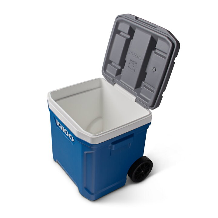 楽天市場】【期間限定特別価格】【正規販売代理店】IGLOO イグルー 