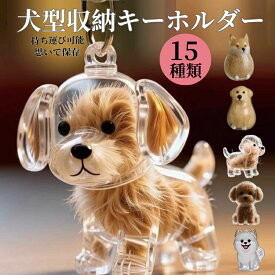 【2点目で55%クーポンOF】ペット 遺毛 ケース 透明 ペット 遺毛入れ 犬の毛収納ボトル ペットメモリアルボトル 犬のキーホルダー 毛を保管するボトル かわいい ペットひげ・抜け毛収納 携帯 持ち歩き 犬 メモリアルグッズ