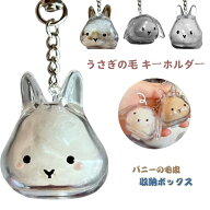 【2点目で50%クーポンOF】うさぎの毛 キーホルダー ペット 遺毛 ケース 透明 ペット 遺毛入れ うさぎの毛…