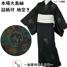 本場大島紬 鏡裏模様 9マルキ 地空き 黒色 証紙付き 【送料無料 中古】【9マルキ カタス 正絹 着物 大島 紬 大島紬 紬の着物 リサイクル着物 リサイクル紬 正絹 つむぎ じあき 紬 紬地 カジュアル】