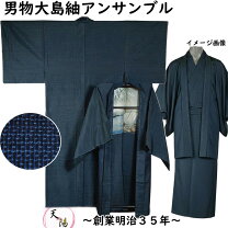 楽天市場】男 大島紬 着物の通販