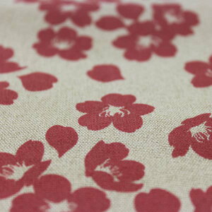  ubNJo[ S4F ~  { a fB[X Y z {Jo[ a aG yY CO v`Mtg v[g Mtg 킢