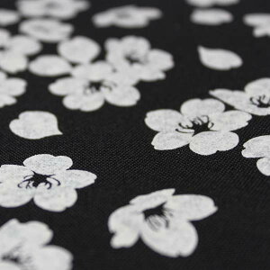  ubNJo[ S4F ~  { a fB[X Y z {Jo[ a aG yY CO v`Mtg v[g Mtg 킢