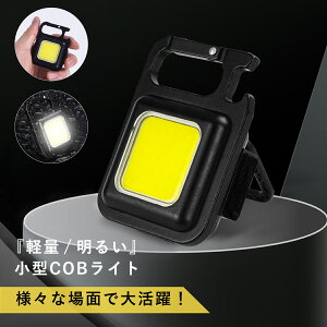 _25 SiP5{!^^COBCg 500mAh ~j [d @\ }Olbg Lv 邢 y  nYt[  Ɠ ނ AEghA