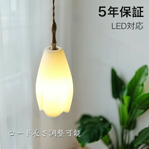 y_gCg k _CjO   ACA   1 E26 LEDΉ _ Vv Ɩ VƖ VF[hv  rO Q ʏ ԗp Lb` ȒP