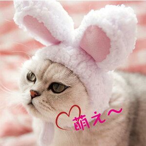 猫 髪飾り ペットの人気商品 通販 価格比較 価格 Com