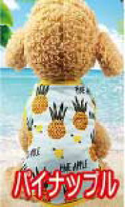  tďH~ oii pCibv XCJ C`S t[c gsJ I[V[Y hbOEFA LbgEFA }i[EFA іh~  ΍ ^Ngbv m[X[