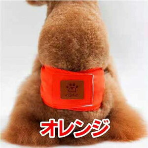  p}i[xg p }i[oh }i[pc ނJo[ hbOEFA hbOEGA gC s IVbRs Vv  }[LOh~ e pi 