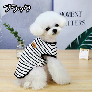 [֑ lC{[_[ 4F ^Ngbv ybgEGA m[X[u  L ^ Vv 悯 U o| I[V[Y ybgpi ybg  IV 