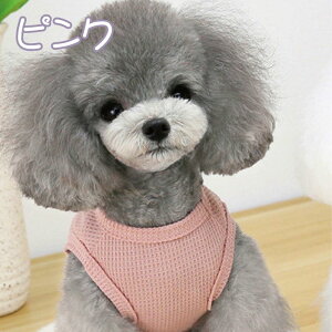 [֑ ^Ngbv bV ݃J[ ybgEGA m[X[u  L ^ Vv 悯 U o| I[V[Y ybgpi ybg  IV 