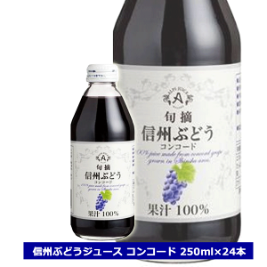 アルプス 旬摘 信州ぶどう コンコードの人気商品・通販・価格