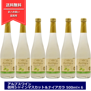 ワイン シャインマスカットの人気商品・通販・価格比較 - 価格.com