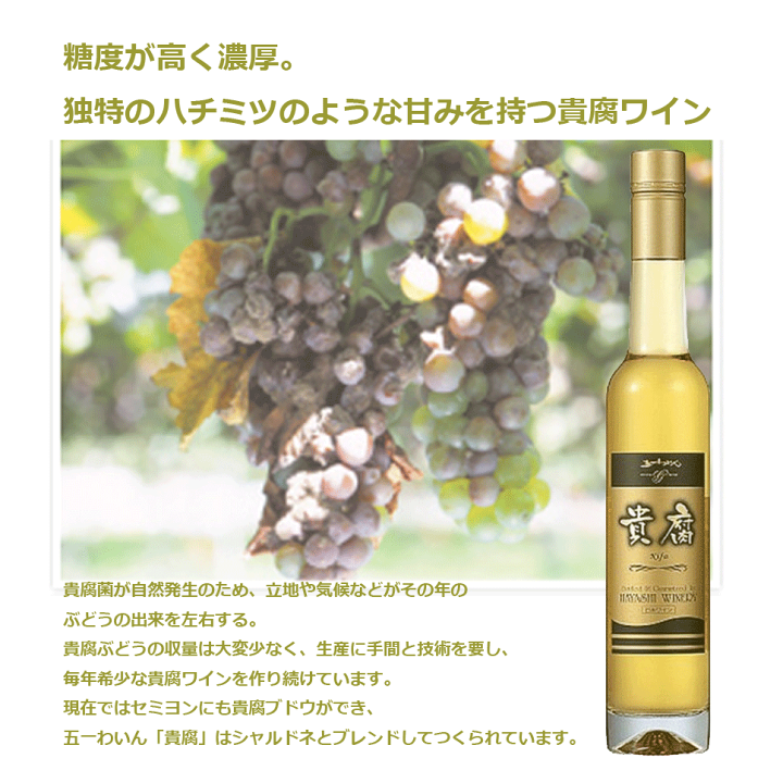 楽天市場】五一わいん 貴腐ワイン 極甘口 375ml デザートワイン 白