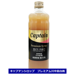Lve Vbv v~A 쒆 600ml bar 쌧Y  s[ X ʏ`  ߗp  s[`