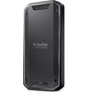  SanDiskPROFESSIONAL TfBXNvtFbVi Ot |[^uSSD 4TB PRO-G40 SSD SDPS31H-004T-GBC1D
