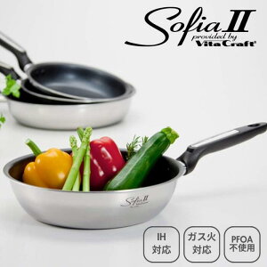  r^Ntg Vita Craft tCp 20cm 1740 \tBAII \tBA2 IH KX NbLOq[^[ Ή 200VXeX A~   x[VbN Vv  Lb`c[ L