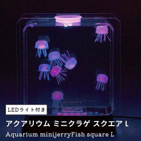 ●【マラソン期間PT2倍】アクアリウム ミニクラゲ スクエア L LEDライト付き インテリア水槽 アクアリウムランプAC100V イシグロ ミニアクアリウム 卓上 LED インテリア 癒し バブルライト 水槽型ランプ 間接照明 ライトアップ ムード イルミネーション 正規品