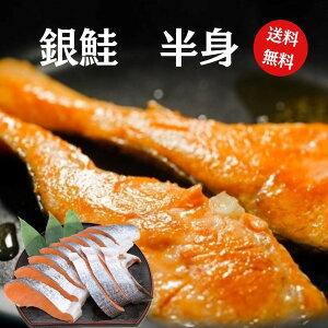 @g@yz@OY@@Y@Ì@@TP@@T[@TP@₳@Mtg@v[g@@j@@Ε@Ⴏ@ґ@@