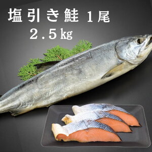 yz@@1@2.5kg@V@z`@h@h@@Ⴏ@@{C@Mtg@v[g@蕨@̂Ȃ