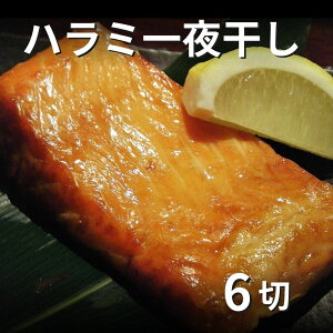 yT[z@n~銱@6؁@@nX@V@@H鎉ɖ@yY   Mtg YW@Î v[g@Ε@@g@nX@Ì@