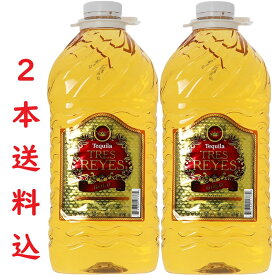 【2本セット送料込1本＠6600※北海道沖縄離島以外】レイステキーラゴールド正規 38度 3785mlペット正規 テキーラ 大容量 飲み放題