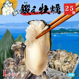 鍛え牡蠣 大粒冷凍 殻付き 25個 加熱用 広島産 牡蠣 老舗の味!冷凍 送料無料