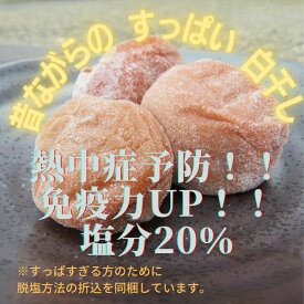 訳あり送料無料　まごころ梅　白梅干し　でかい　食べ応え　すっぱ〜い　免疫力　疲労回復　ポスト投函　袋入り　うめぼし　完熟紀州南高梅 梅白湯