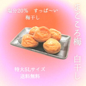 送料無料 極上まごころ梅 完熟紀州南高梅使用 白梅干し 大きい 食べ応え すっぱ〜い 免疫力 疲労回復 500g 無添加無着色