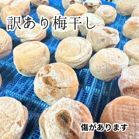 【P10倍】自然の証、雹傷梅干し 伝統と自然に育まれた味わいの梅干し 見た目は傷つきありますが、味は抜群！自然の恵みをそのまま活かした逸品 送料無料 訳あり