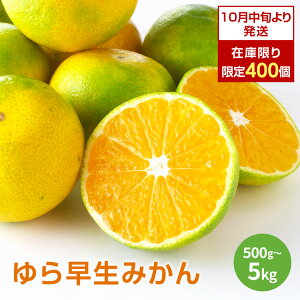 _ʌ 400^10{蔭Jn 瑁݂ ݂ 󂠂  6 / 1kg / 3kg / 5kg  瑁   ݂  ݂  ~J t[c ʕ a̎RyKIMARU