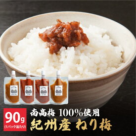 【楽天ショップマンス受賞店】1,000円ポッキリ! 練り梅 1P(90g/1P) 選べる4種 5種セットは小梅入 塩分補給 はちみつ かつお しそ 白干し 種なし チューブ入 南高梅 紀州南高梅 和のうまみ 料理用 簡単 梅干し 送料無料 梅白湯 熱中症対策 国産梅 干し梅 常備食【寺本商店】