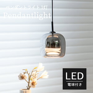 ペンダントライト 照明 おしゃれ ペンダント 1灯 照明器具 LED ルームライト 北欧 シンプル ナチュラル インテリア モダン リビング ダイニング キッチン 玄関 トイレ かわいい インテリア ラ